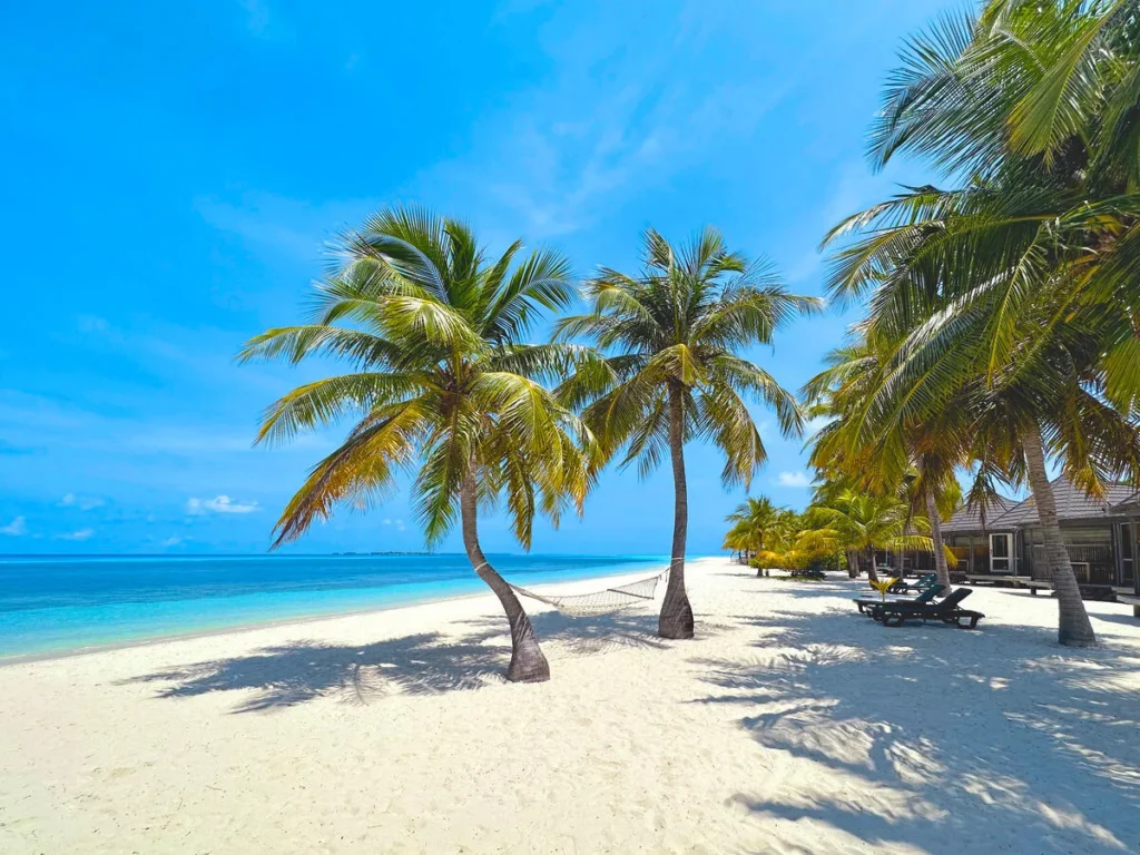 Kuredu Island Resort & Spa 5 wagner reisen kuredu island resort spa malediven 5