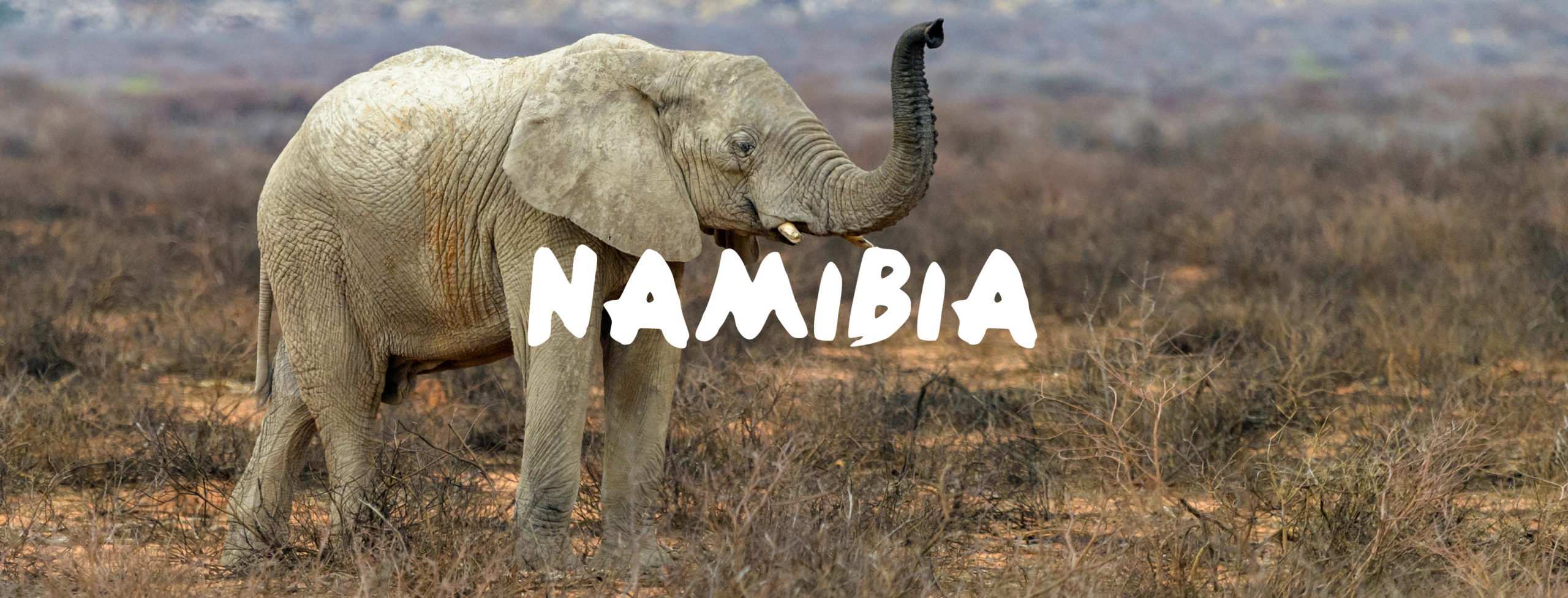 Namibia Urlaub buchen im Reisebüro Rosenheim Wagner Reisen Raubling